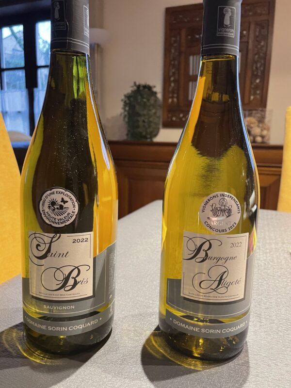 Bourgogne Aligoté 2022