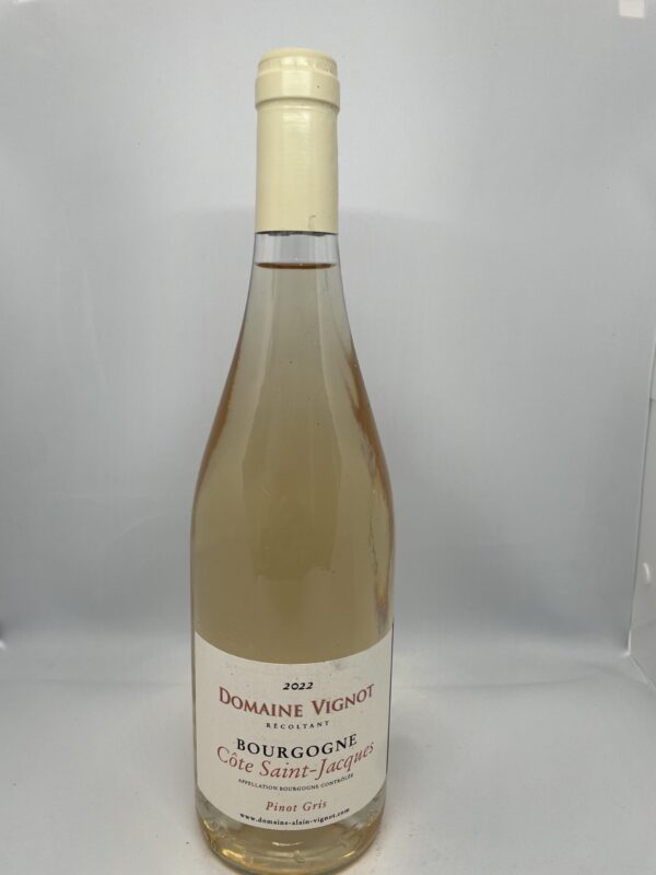 Bourgogne Côte Saint-Jacques gris - pinot gris